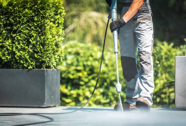 Best Fence Cleaning  in Roselle Park, NJ