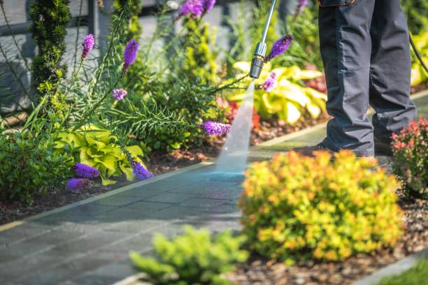 Trusted Roselle Park, NJ Pressure Washing Services Experts