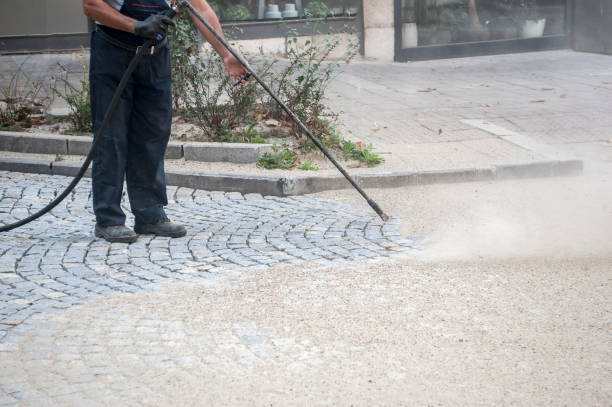 Best Gutter Cleaning  in Roselle Park, NJ