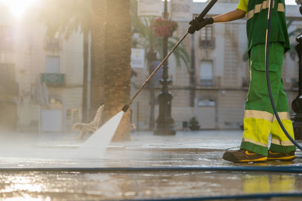 Best Sidewalk and Walkway Cleaning  in Roselle Park, NJ